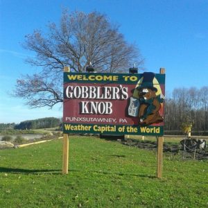 An image of greenery and a tree plus a sign for Punxsutawney Phil at Gobbler's Knob. February